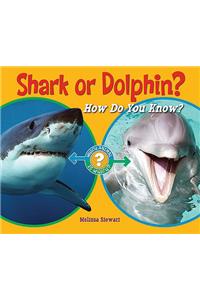 Shark or Dolphin?