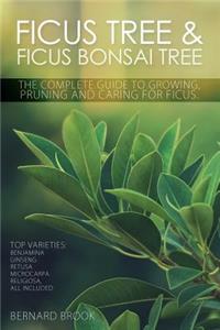 Ficus Tree and Ficus Bonsai Tree. The Complete Guide to Growing, Pruning and Caring for Ficus. Top Varieties