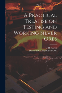 Practical Treatise on Testing and Working Silver Ores