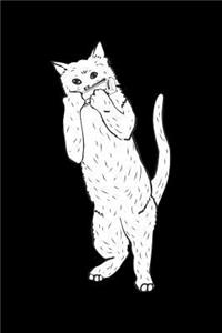 Cat plays harmonica