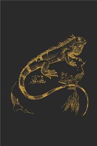 Gold Iguana