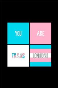 You Are Trans Enough