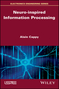 Neuro-Inspired Information Processing