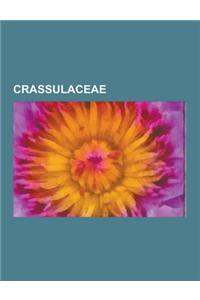 Crassulaceae