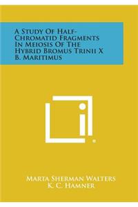 Study of Half-Chromatid Fragments in Meiosis of the Hybrid Bromus Trinii X B. Maritimus