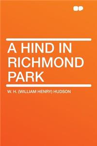 A Hind in Richmond Park