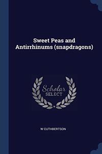 SWEET PEAS AND ANTIRRHINUMS  SNAPDRAGONS