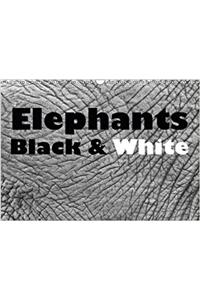 Elephants Black & White 2018