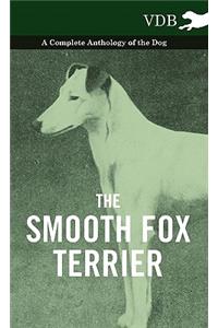 Smooth Fox Terrier - A Complete Anthology of the Dog