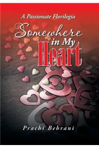 Somewhere in My Heart