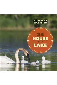 24 Hours in a Lake