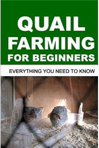 Quail Farming For Beginners