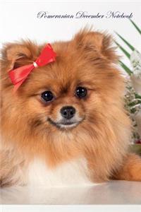 Pomeranian December Notebook Pomeranian Record, Log, Diary, Special Memories, To Do List, Academic Notepad, Scrapbook & More