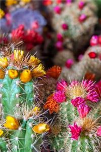 Flowering Cacti Plant Journal