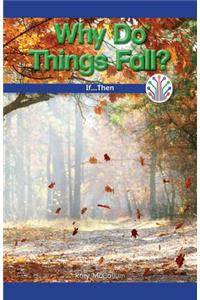 Why Do Things Fall?