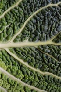Savoy Cabbage Leaf Journal