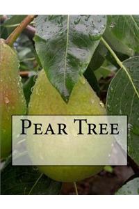 Pear Tree