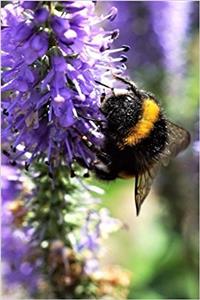 Bumblebee Notebook