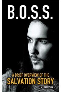 Brief Overview of the Salvation Story