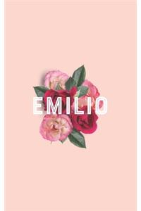 EMILIO 2020 Weekly Monthly Planner Book, Planner 2020, Personalized 2020 Planner for EMILIO A beautiful