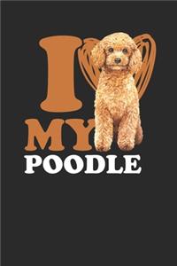 I Love My Poodle