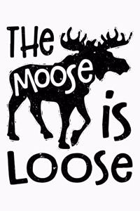 The Moose is Loose