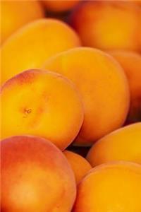 Yummy Huge Pile of Apricots Fruit Journal