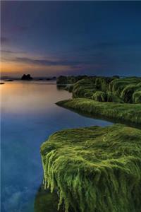 Ocean Moss Notebook