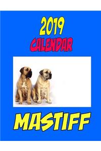 2019 Calendar Mastiff