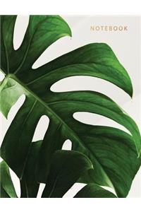 Notebook: Beautiful Minimalist Banana Plant Leave Look White Background with Gold Lettering 150 College-Ruled Lined Pages 8.5 X 11