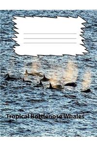 Tropical Bottlenose Whale College Ruled Line Paper Composition Book