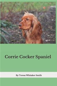 Corrie Cocker Spaniel