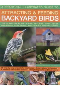 Practical Illustrated Guide to Attracting and Feeding Backyard Birds