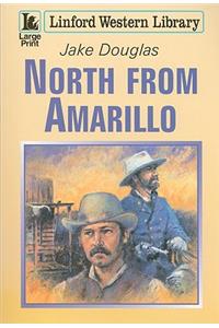 North from Amarillo