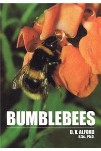 Bumble Bees