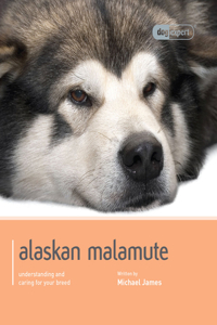 Alaskan Malamute