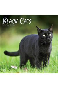 Black Cats 2021 Square Foil