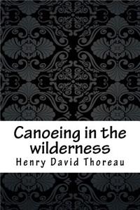 Canoeing in the Wilderness