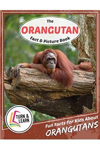 The Orangutan Fact and Picture Book: Fun Facts for Kids About Orangutans (Turn and Learn)