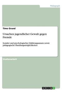 Ursachen jugendlicher Gewalt gegen Fremde