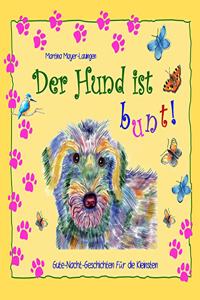 Der Hund ist bunt!: Gute-Nacht-Geschichten fur die Kleinsten