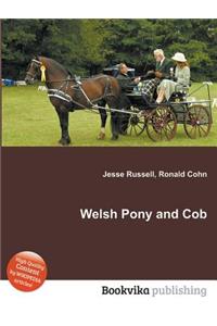 Welsh Pony and Cob