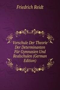 Vorschule Der Theorie Der Determinanten Fur Gymnasien Und Realschulen (German Edition)
