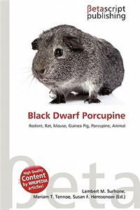 Black Dwarf Porcupine