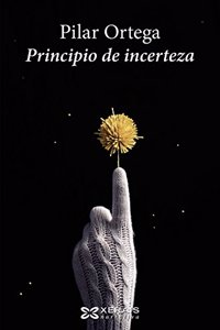 Principio de incerteza