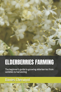 Elderberries Farming