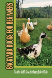 Backyard Ducks For Beginners