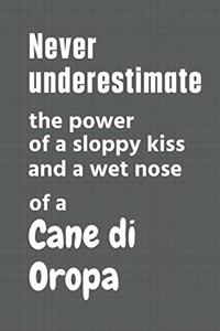 Never underestimate the power of a sloppy kiss and a wet nose of a Cane di Oropa