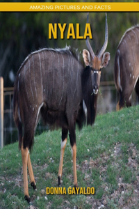 Nyala