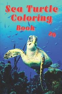 Sea Turtle Coloring Book